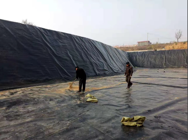 广安市防渗土工膜土工膜 - 哪里好